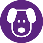 Pet dander
